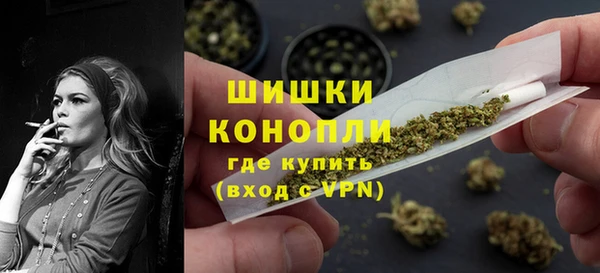 прущие грибы Армянск