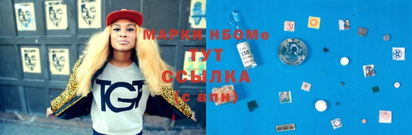 прущие грибы Армянск