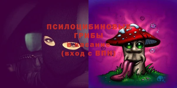 твердый Аркадак