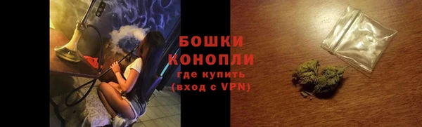 прущие грибы Армянск