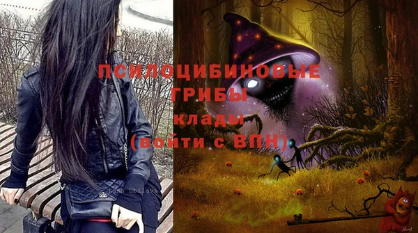 прущие грибы Армянск