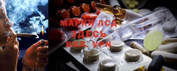 прущие грибы Армянск