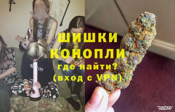 твердый Аркадак