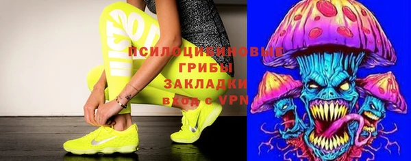твердый Аркадак