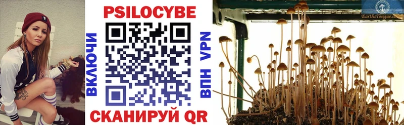 Псилоцибиновые грибы мицелий  купить   Похвистнево 